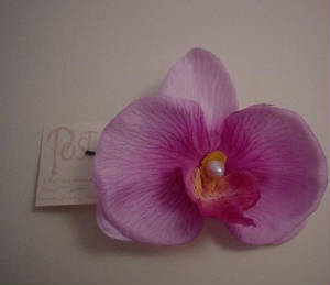 orchid2.jpg